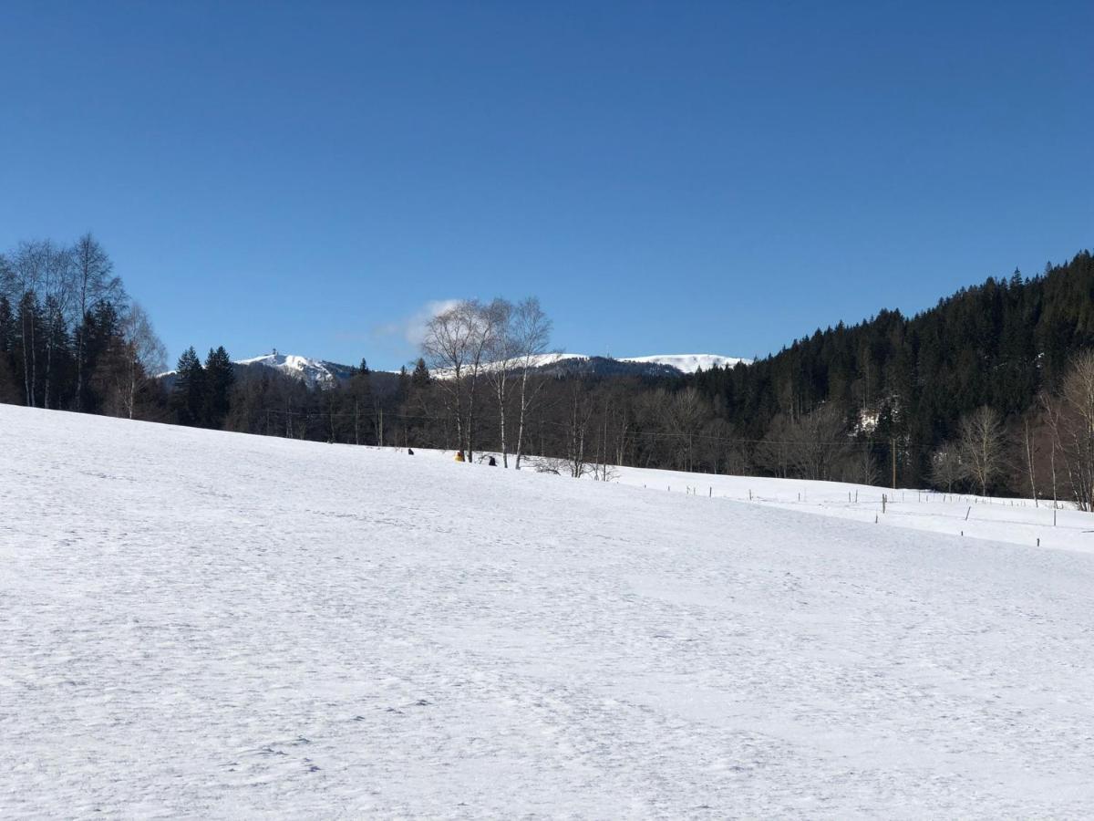 Ferienhaus Lickert Familie Dreher Hinterzarten Exterior foto